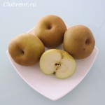 Яблоки Reineta Gris. Фрукты в Испании в сентябре